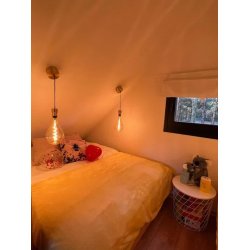 Holzhaus Wierzba Modern A 5x4m 20m2