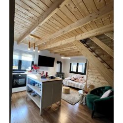 Holzhaus Wierzba Modern C 5x6m + 3m 30m2