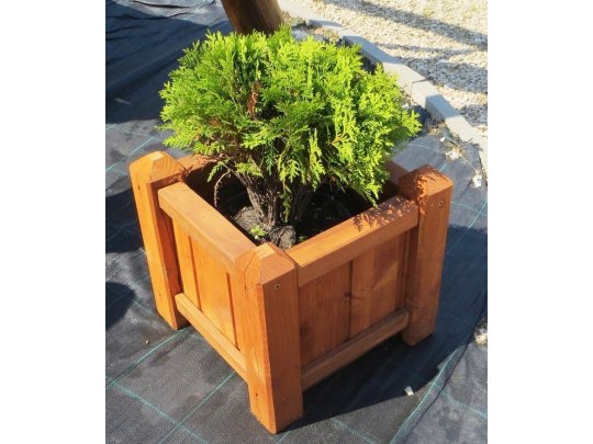 Kleiner quadratischer Topf