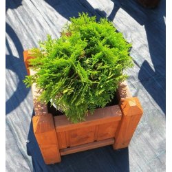 Kleiner quadratischer Topf