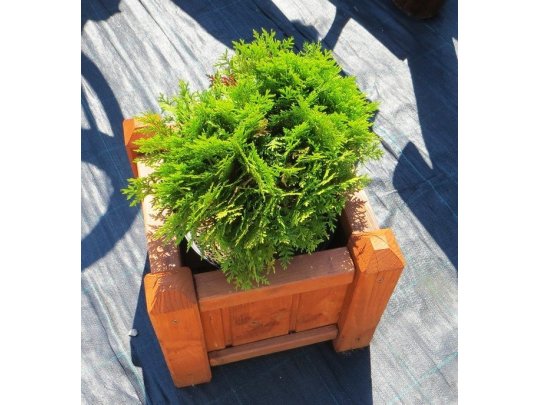 Donica kwadratowa 36x36cm