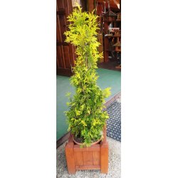 Donica kwadratowa 36x36cm