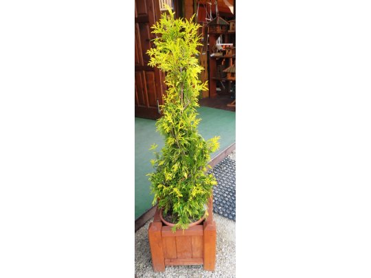 Donica kwadratowa 36x36cm