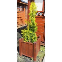 Großer quadratischer Topf