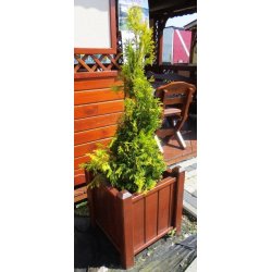 Großer quadratischer Topf