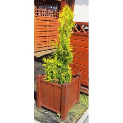 Großer quadratischer Topf