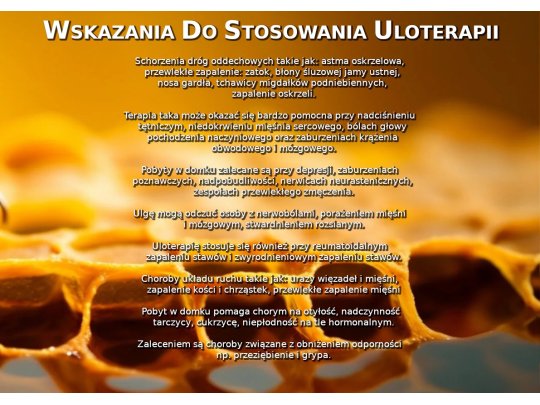 Domek do Apiterapii 4 x 3 m