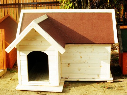 Big doghouse with porch