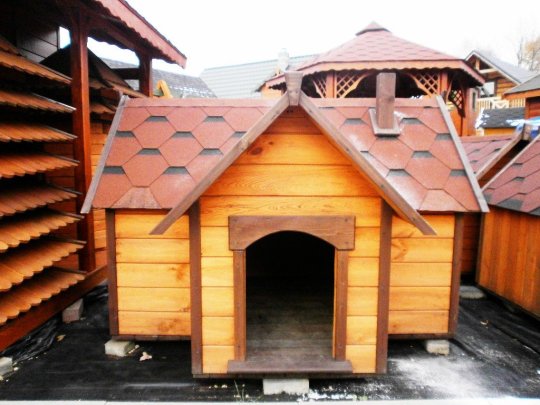 Big doghouse with porch