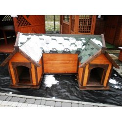 Doghouse with two entrances