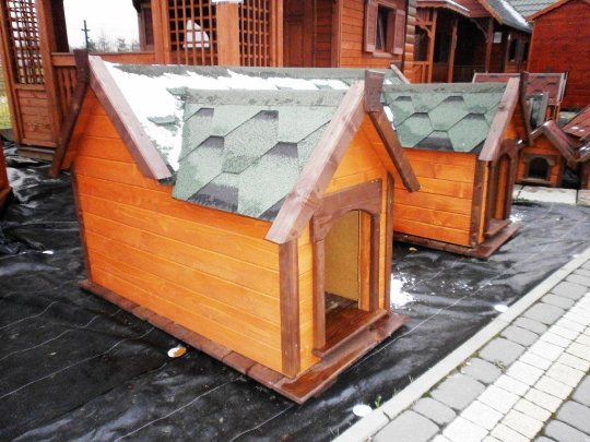 Hundehütte mit zwei Eingängen