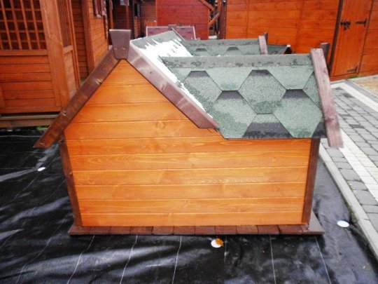 Doghouse with two entrances