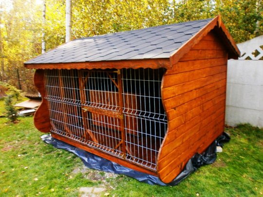 Hundezwinger mit Satteldach