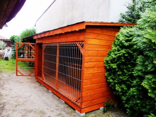 Hundezwinger mit Pultdach