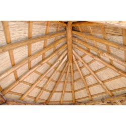 Arbor with cane roof