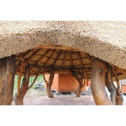 Arbor with cane roof