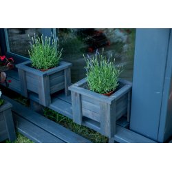 Kleiner quadratischer Topf