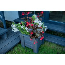 Kleiner quadratischer Topf