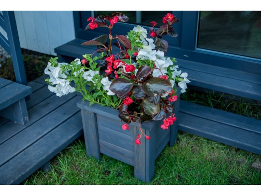 Kleiner quadratischer Topf