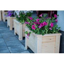 Kleiner quadratischer Topf